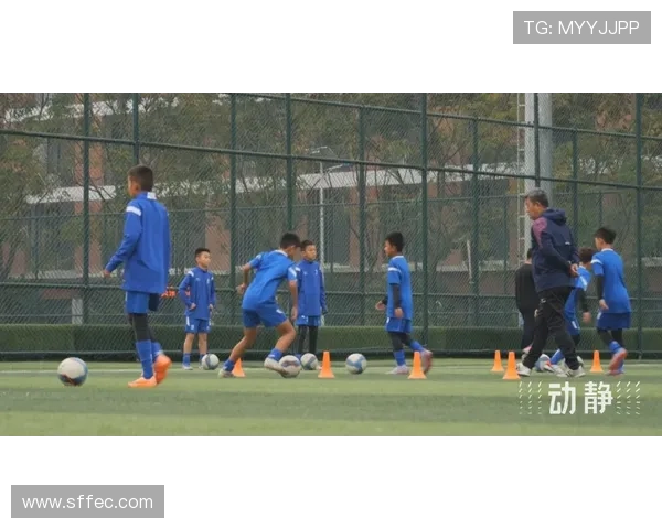 亚美尼亚青年球员潜力显现，青训体系持续提升