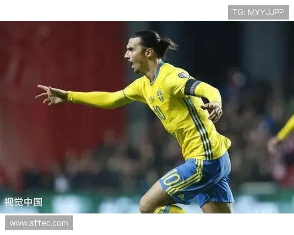 伊布国家队表现 伊布国家队表现