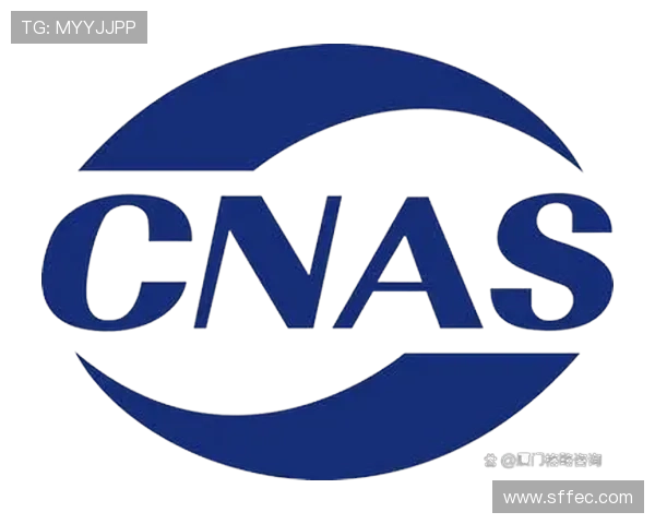 帕尔默大赛表现稳定性与上限分析